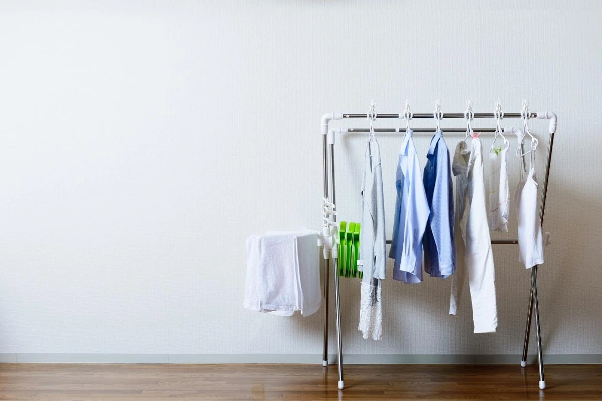 Por qué los expertos siempre cuelgan la ropa en forma de arcoíris cuando llueve - image 1