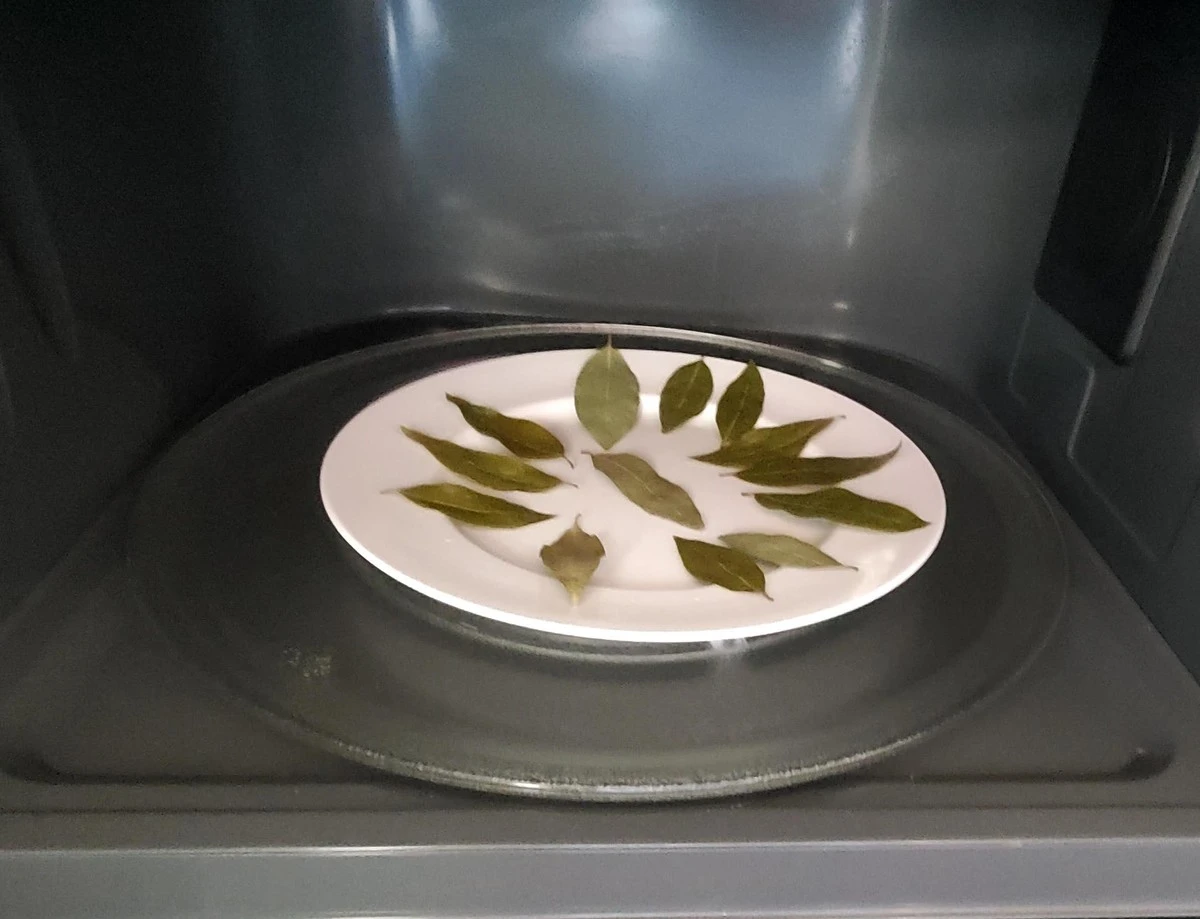 Por qué los expertos en limpieza ponen hojas de laurel en el microondas apagado - image 1