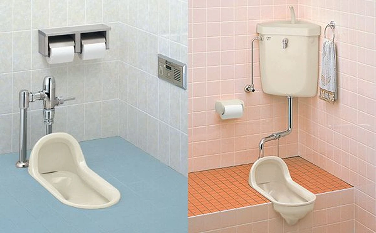 Por qué los japoneses se sientan hacia la parte elevada del inodoro - image 1