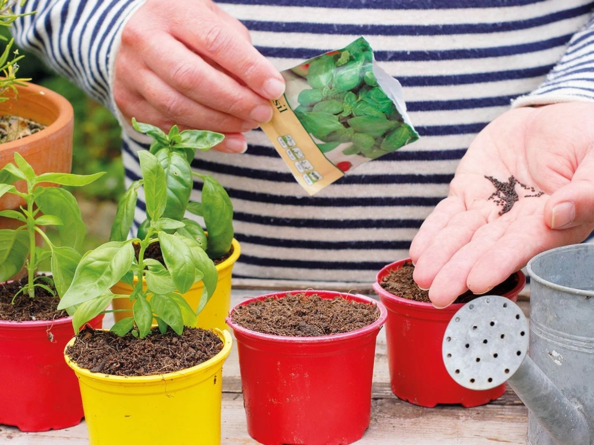 Por qué los jardineros expertos ponen un sobre de levadura en el agua de sus plantas - image 1