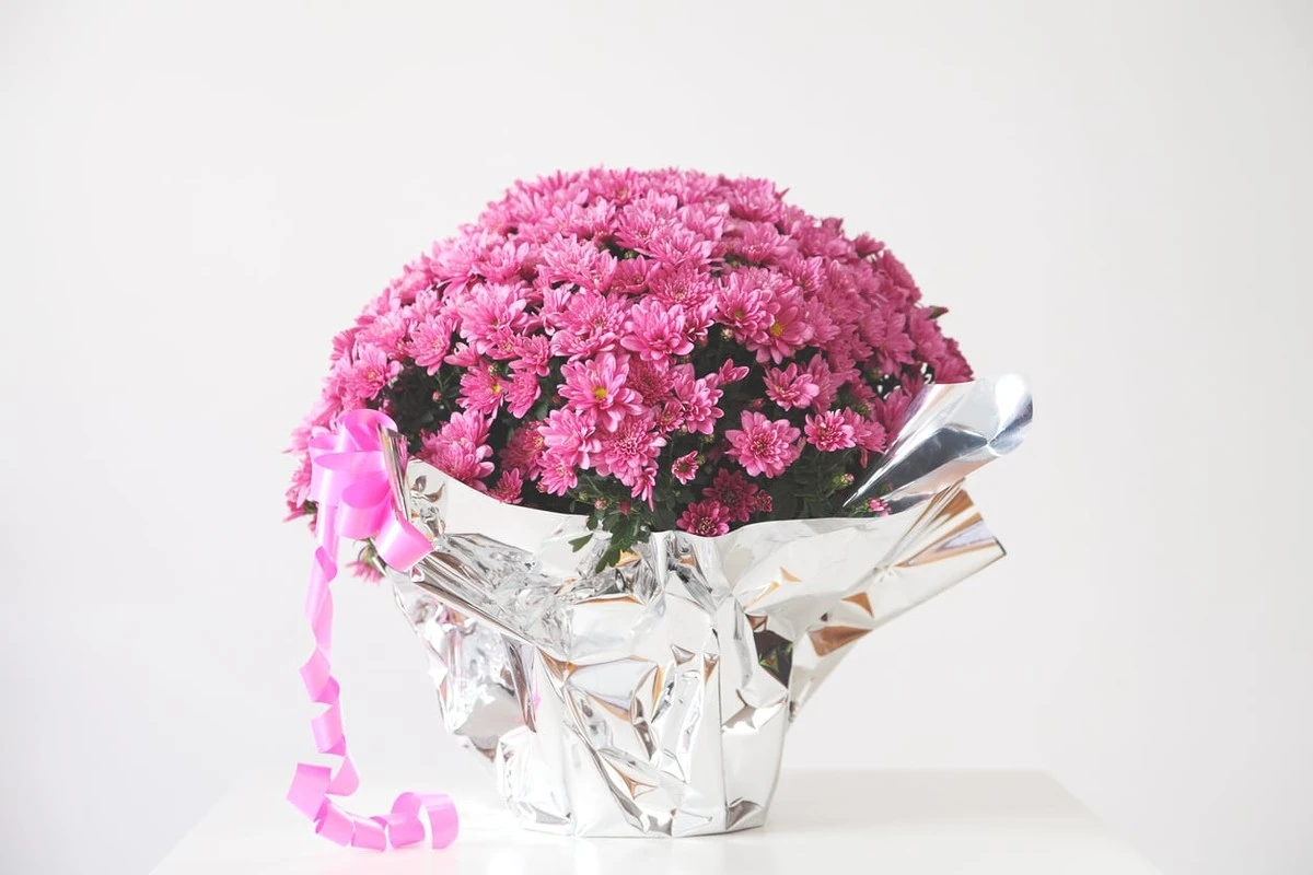 Por qué los jardineros expertos siempre ponen papel de aluminio en sus macetas - image 1