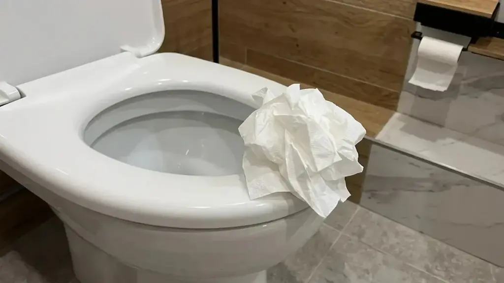 Por qué nunca debes tirar el papel higiénico por el inodoro (y la solución que lo explica todo)