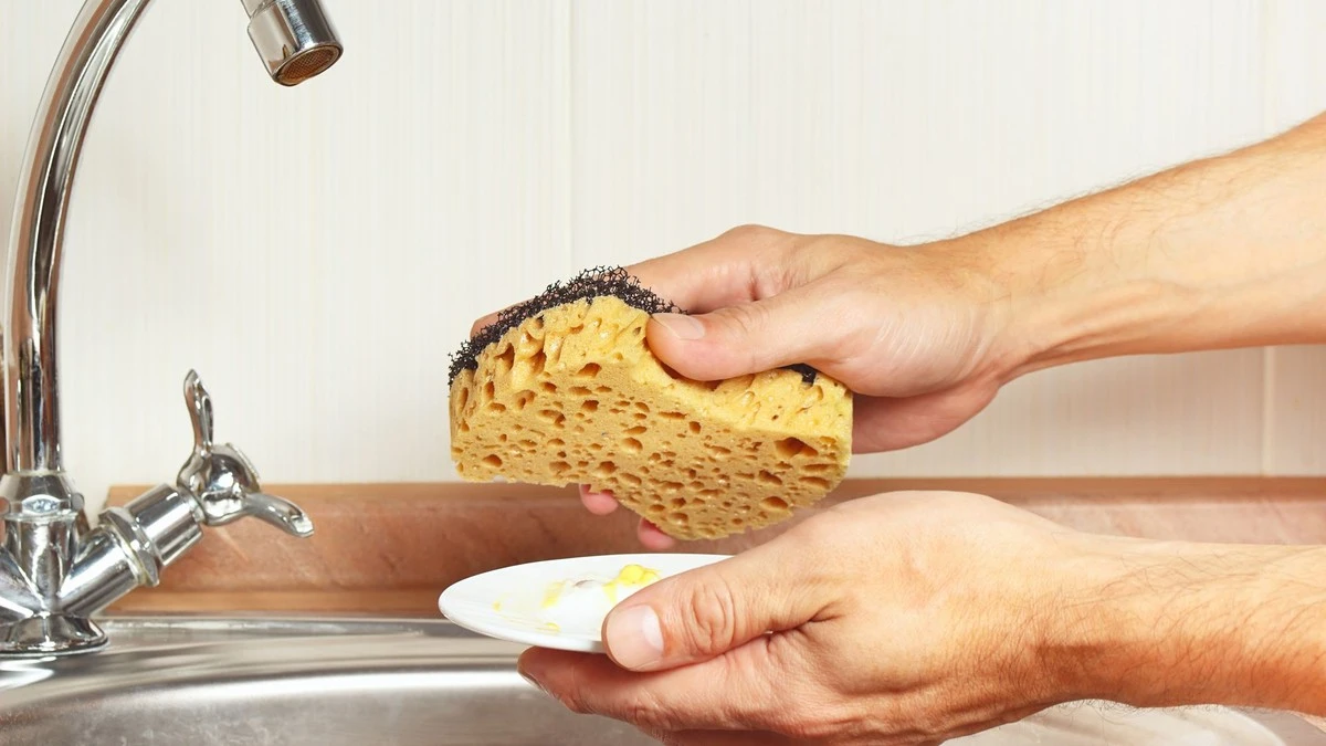 Por qué nunca deberías dejar la bayeta colgada en el grifo de la cocina - image 1