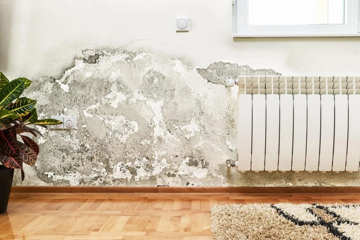 Por qué tu pared segrega polvo blanco y se hincha: la verdad oculta que arruina tu reforma - image 1