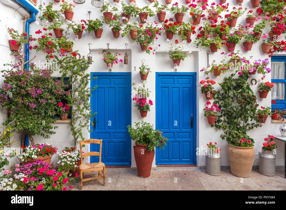 Puerta principal: el color que elijas en diseño de interiores revela quién eres - image 1