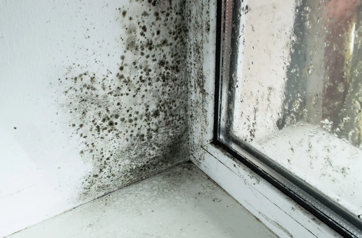Toallas con moho: Valentín Naranjo y María Fernández recomiendan secar fuera del baño - image 1