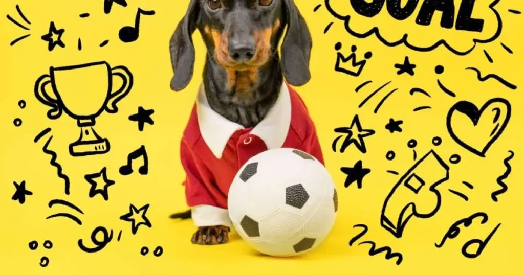 10 nombres de perros directamente desde la cancha: ¡Apodos de equipos que tu mascota amará!