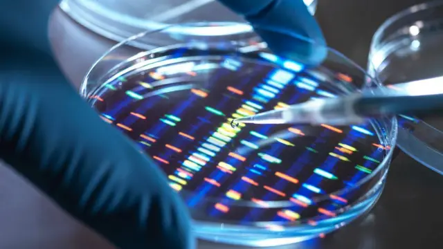 El ADN puede almacenar una enorme cantidad de datos y sus requisitos de conservación no consumen mucha energía, lo que lleva a algunos a considerarlo el medio de almacenamiento perfecto.