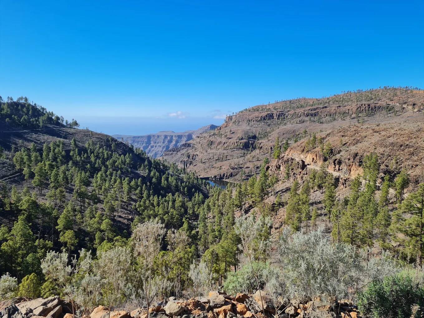 Foto: El paisaje de este parque natural canario destaca por la presencia de grandes barrancos, crestas escarpadas y pequeños cursos acuíferos. (Google)