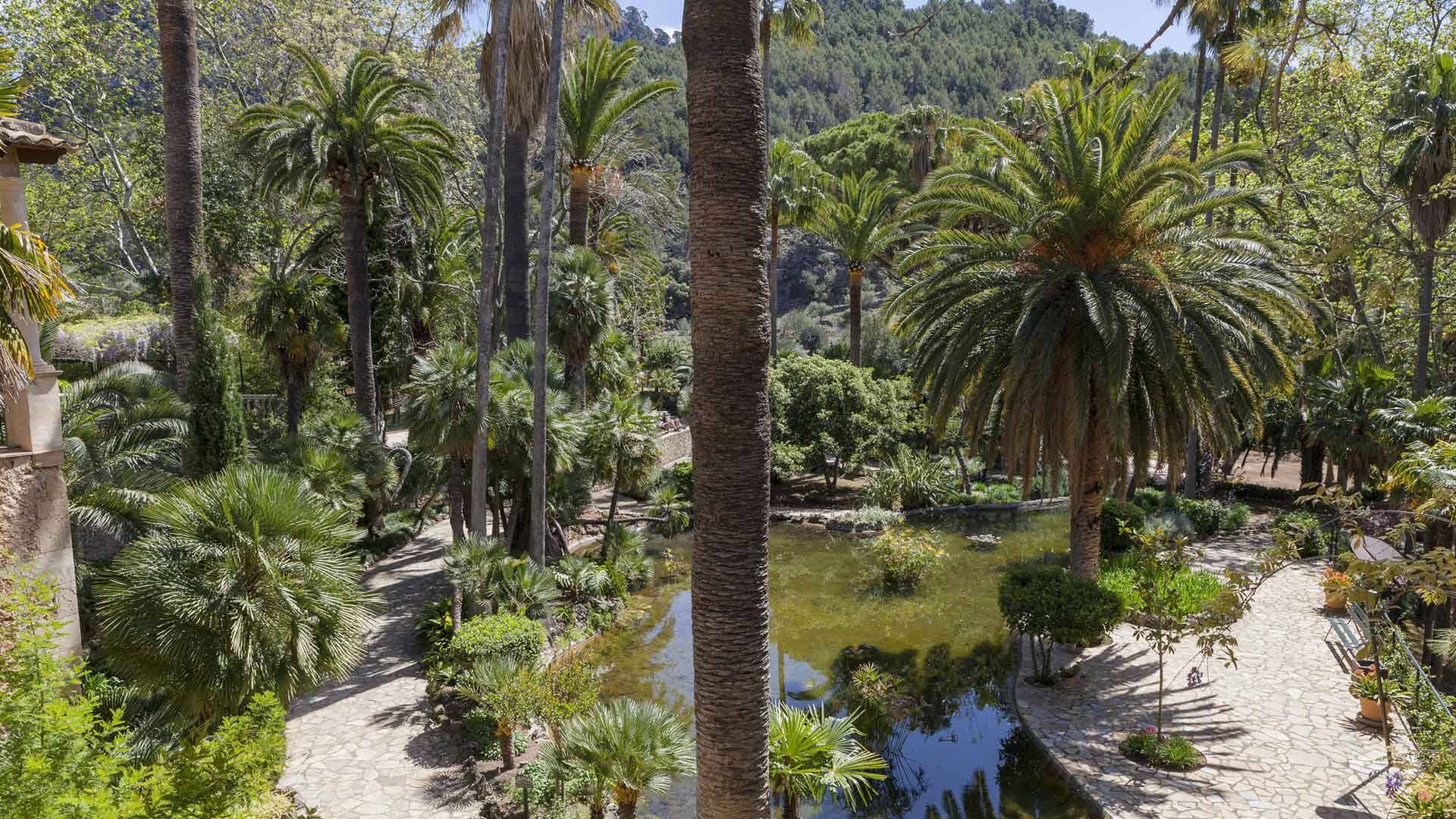 Foto: Los jardines más bonitos de Mallorca que tienes que descubrir. (Illes Balears)