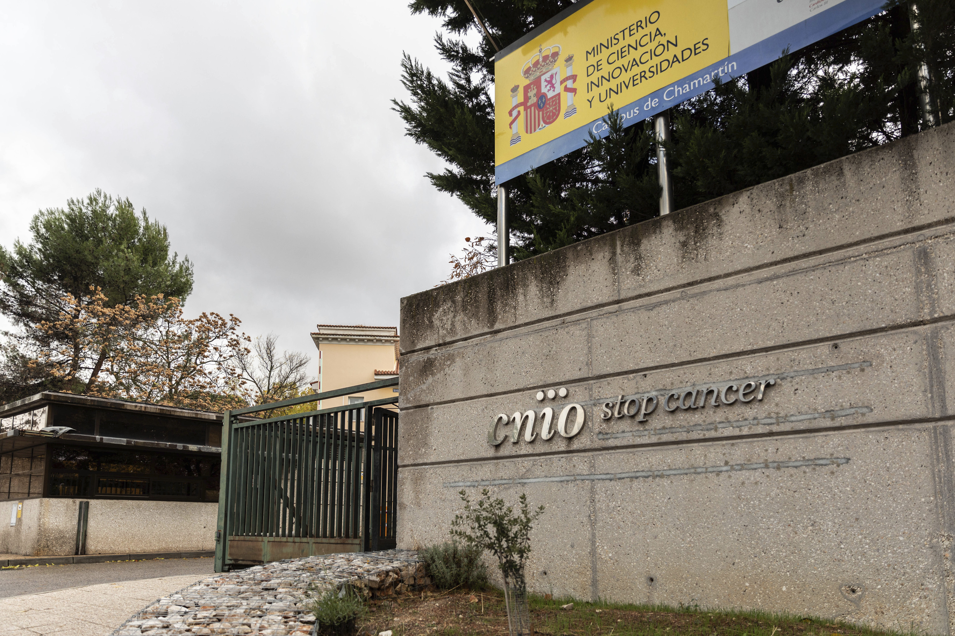 Acceso al Centro Nacional de Investigaciones Oncológicas (CNIO)