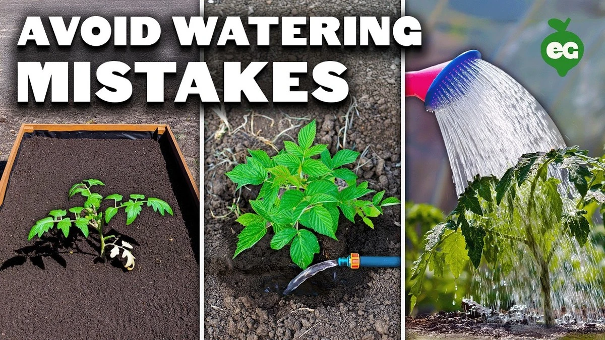 4 plantas que nunca creías que morían por el agua del grifo, según jardineros - image 1
