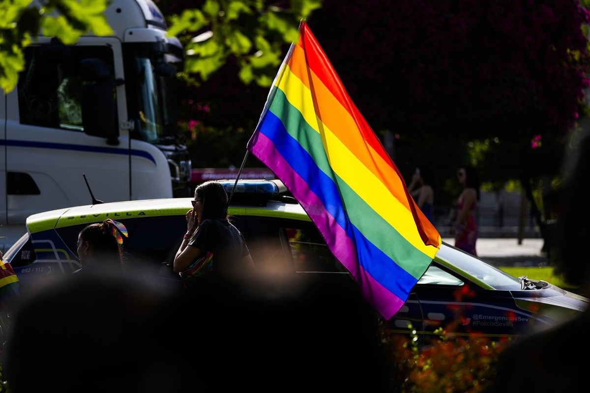 Una manifestante sostiene una bandera