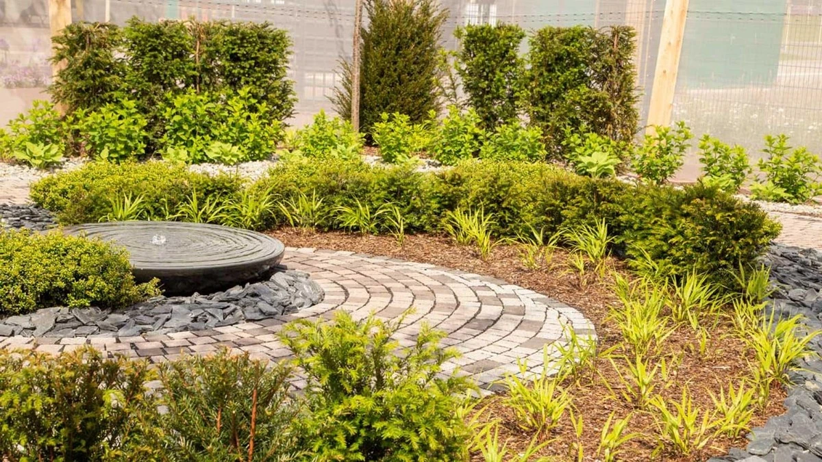 5 trucos españoles para un jardín verde en plena sequía - image 1
