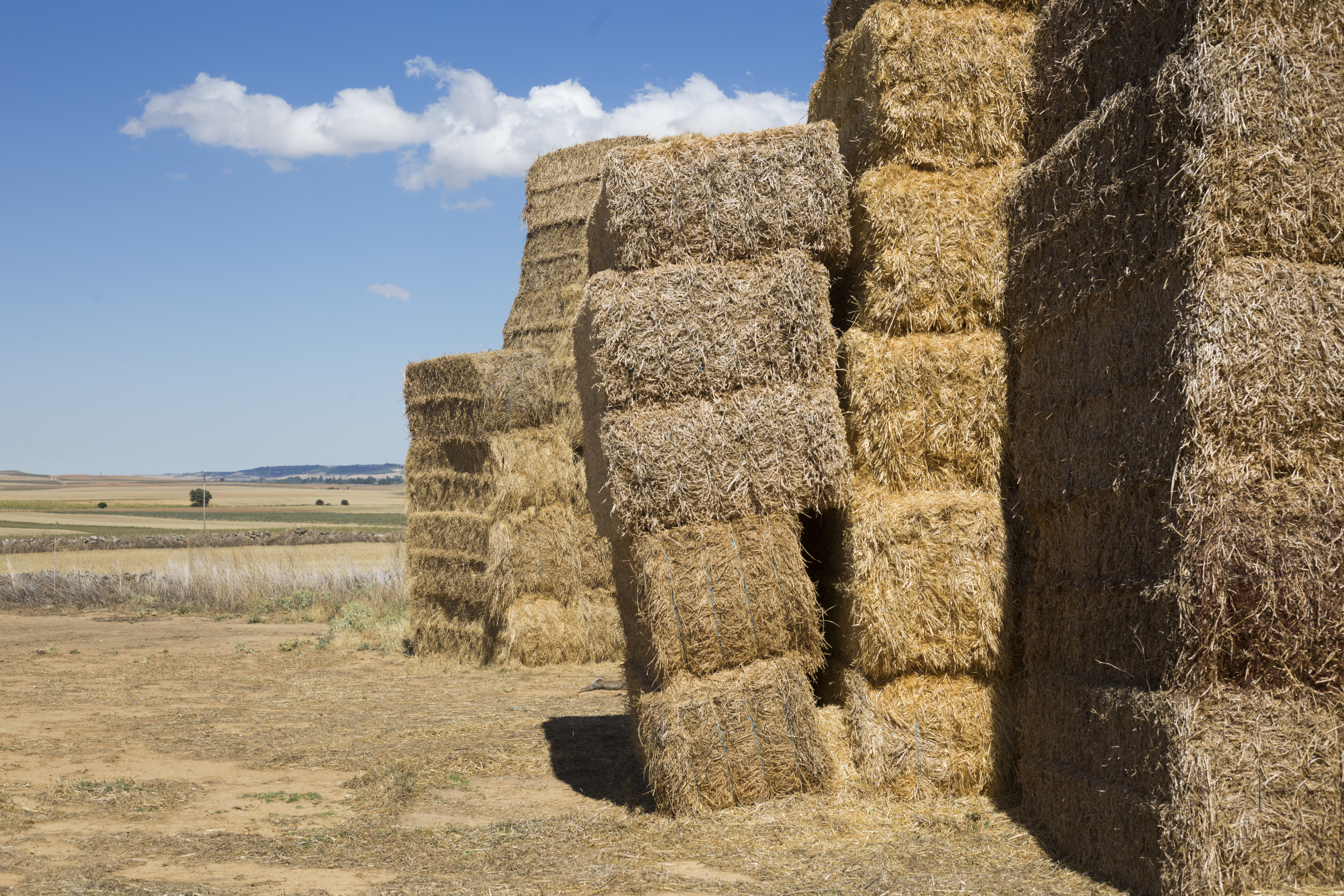 Varias torres de pacas de paja en una explotación agrícola española.