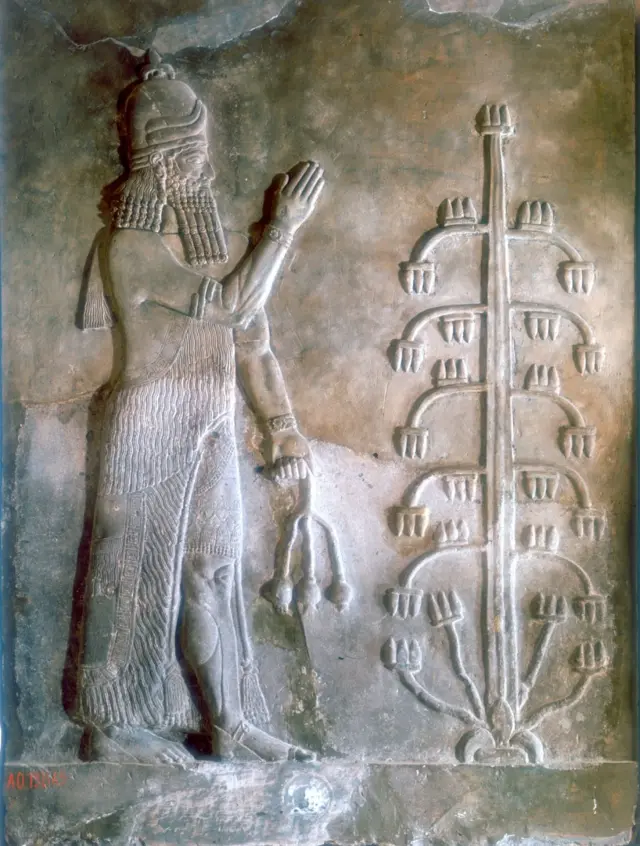 Relieve de piedra de Sargón I de pie ante un árbol de la vida, siglos XXIV-XXIII a. C. Sargón I fue el fundador de la dinastía semítica acadia.
