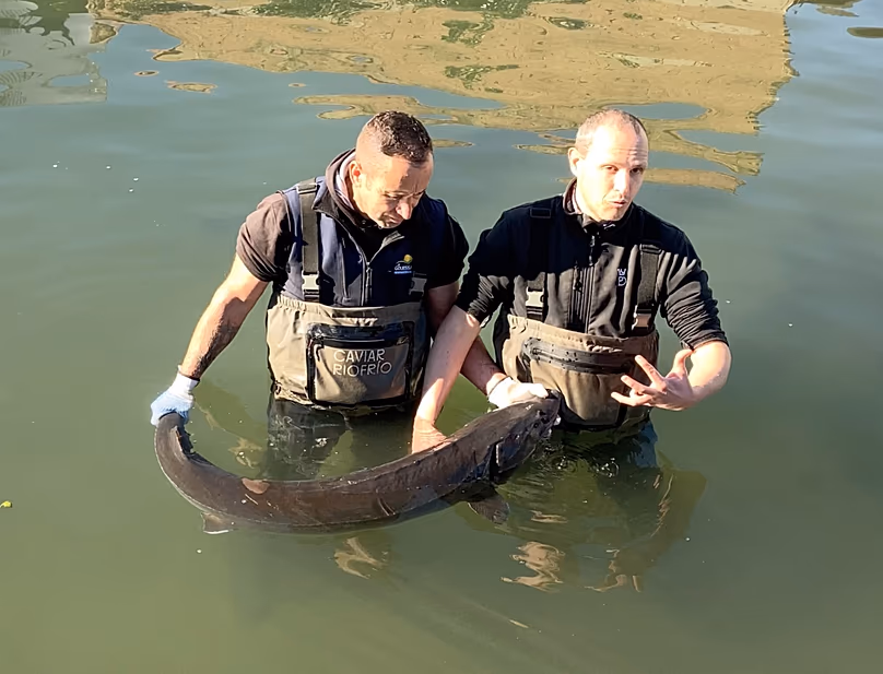 Ignacio Alba Alejandre (right) is a veterinarian at Caviar Riofrío