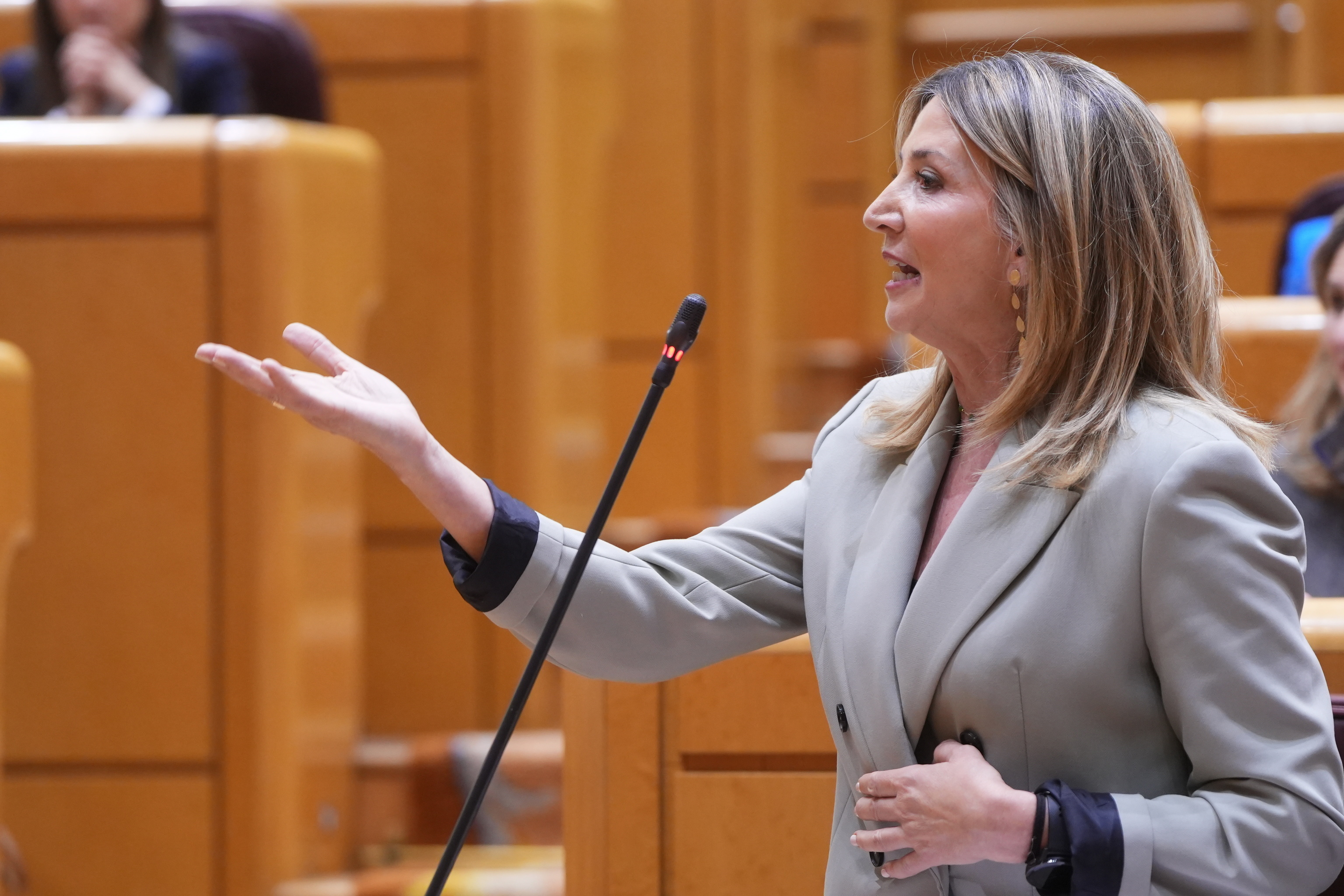 La portavoz del PP en el Senado, Alicia García.