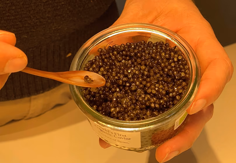 Organic caviar culinary tasting