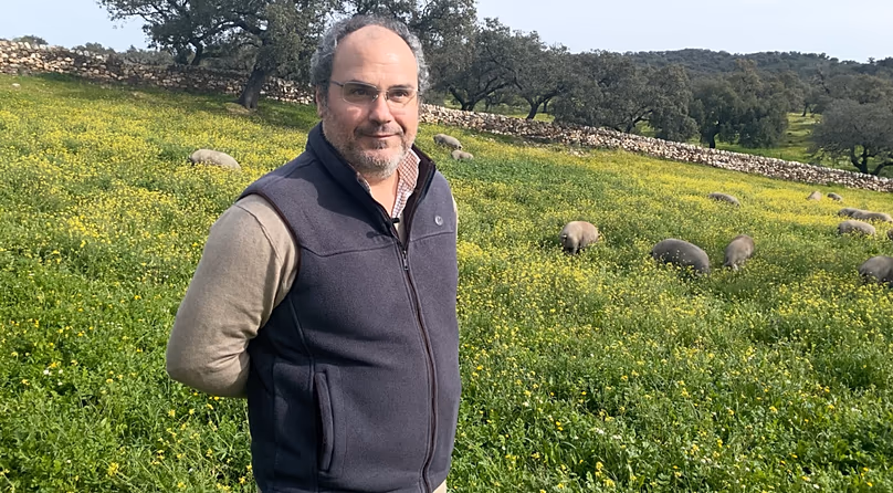 Jesús García Sánchez rears acorn-fed 100% Iberian pigs