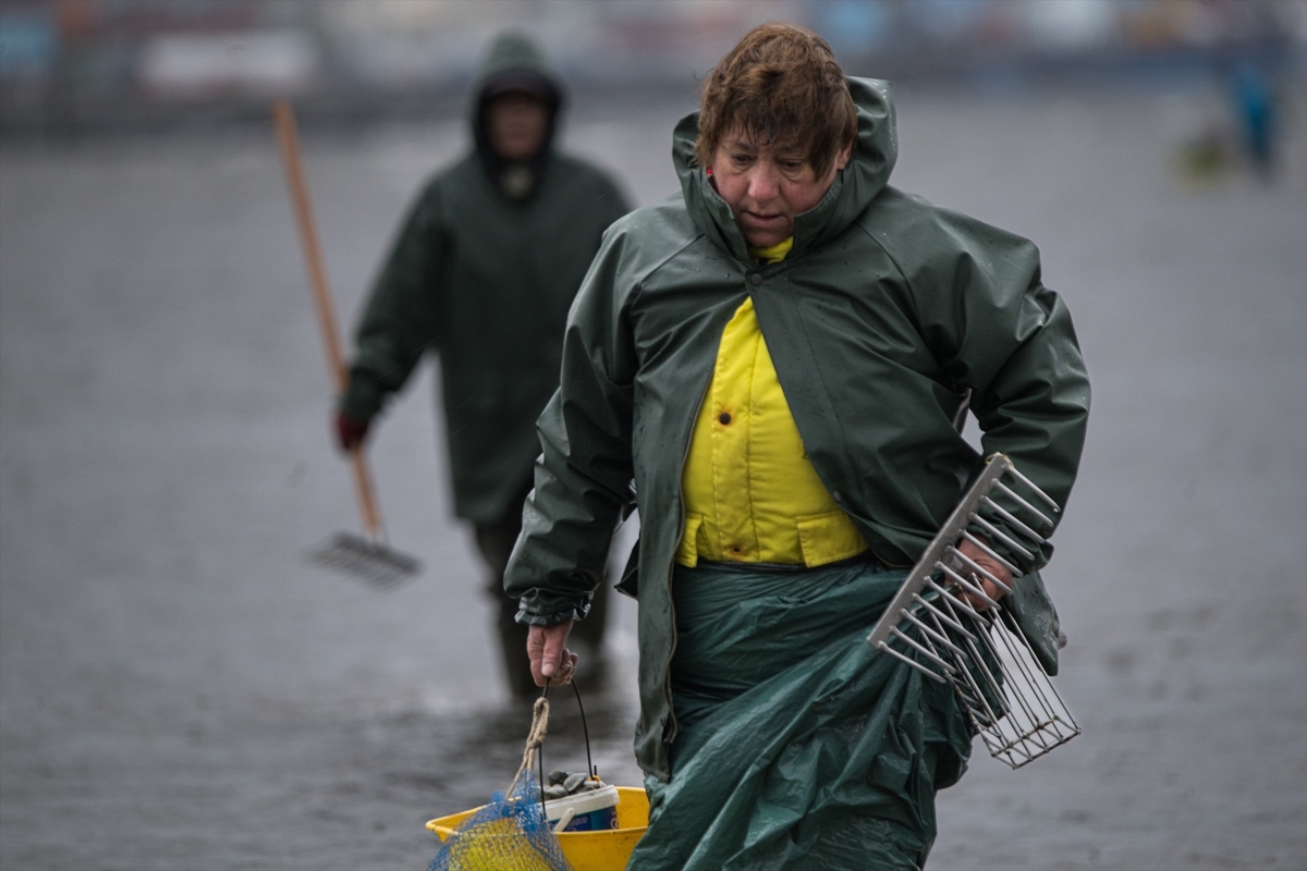Las mariscadoras de la Cofradía de San Telmo trabajan en la zona del Ameixal, a 4 de diciembre de 2025, en Pontevedra, Galicia (España). (Elena Fernández / Europa Press)