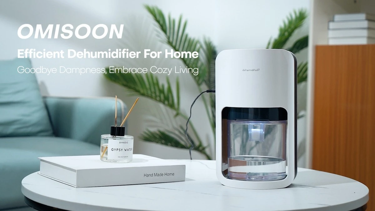 Adiós a la humedad: el truco con el OKYUK 10 L para muros secos por 0,12 € - image 1