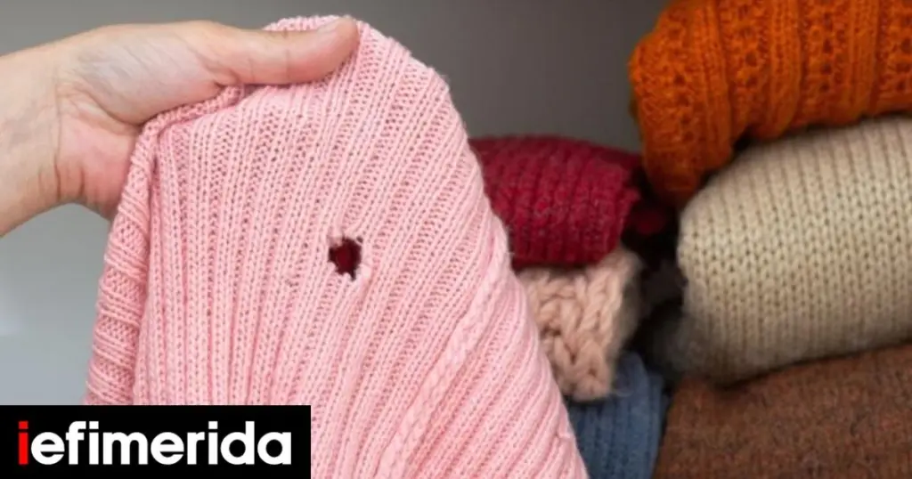 Adiós a la Polilla: el método para proteger la Queratina de tu ropa