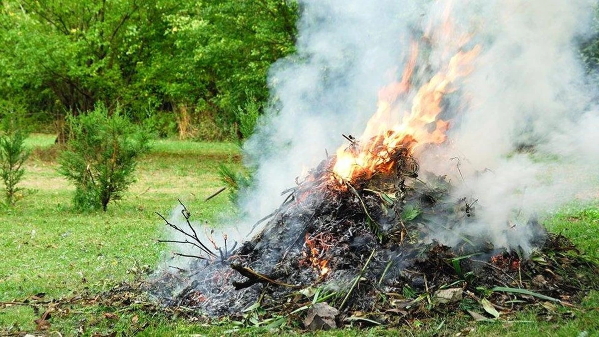 Adiós a la quema de residuos de jardín: evita multas de 2.000€ este marzo - image 1