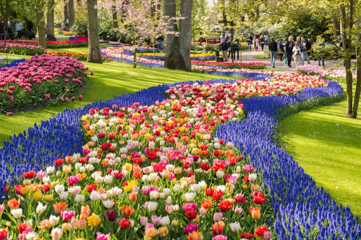Adiós a las plantas marchitas: el truco para salvar tu Jardín esta Primavera - image 1