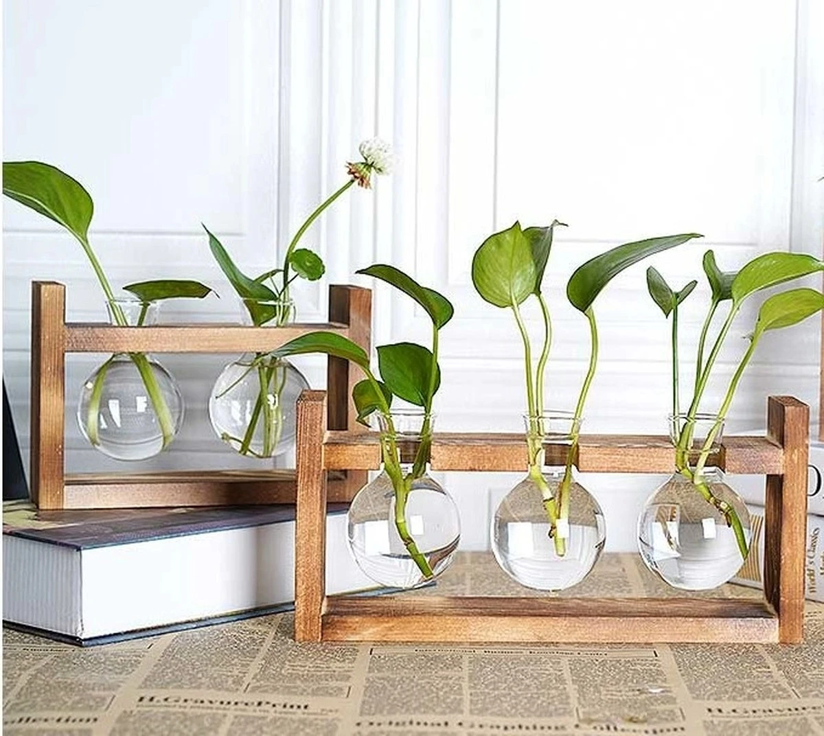 Adiós a la tierra: el truco para un Pothos radiante en tus Plantas de interior - image 1