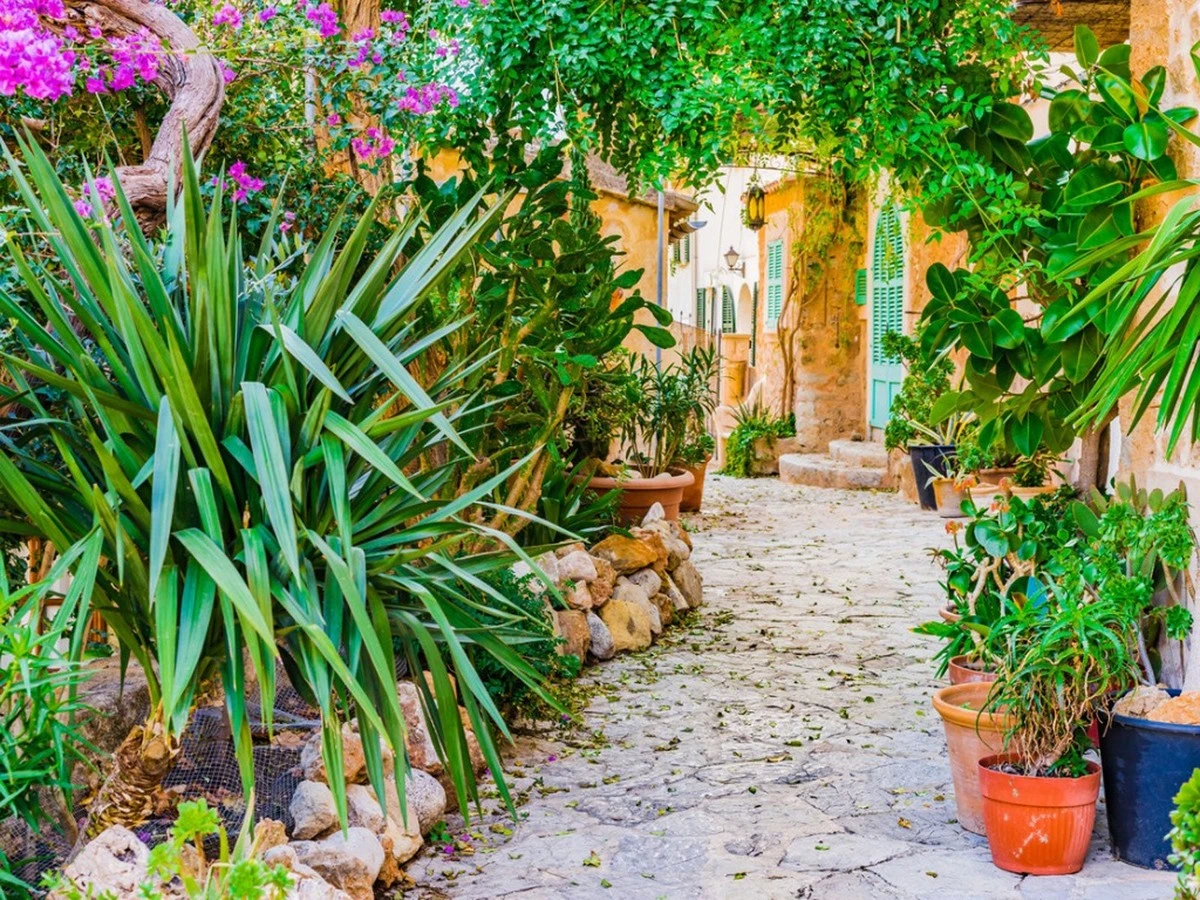 Adiós al calor en el hogar: baja 8 grados este verano sin aire - image 1