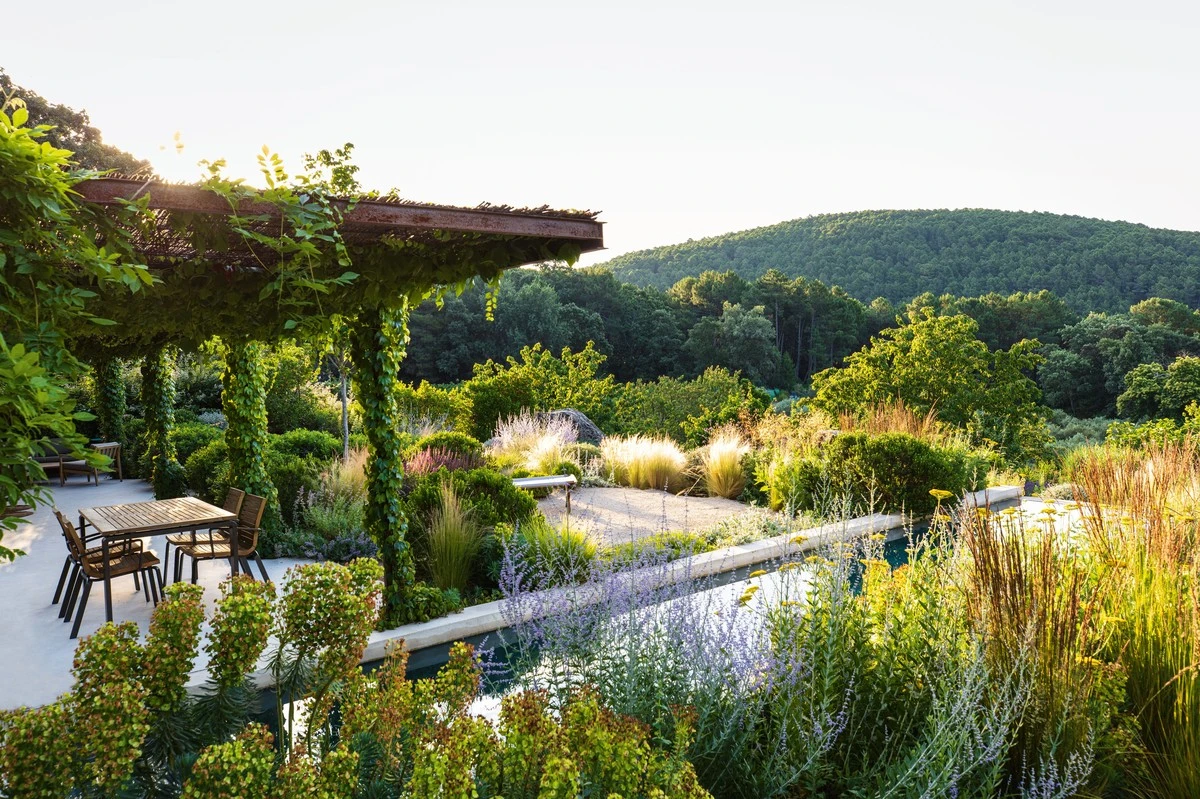 Adiós al calor en tu jardinería: el secreto para proteger tus Pepinos - image 1