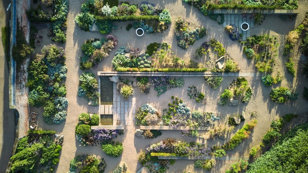 Adiós al césped: el truco para un ecosistema de jardín con más biodiversidad - image 1