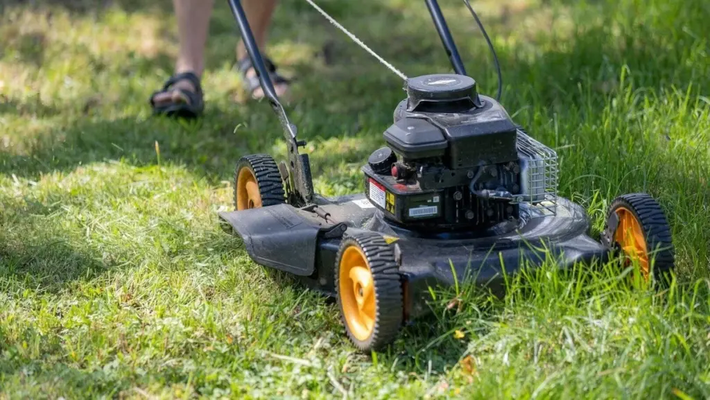 Adiós al cortacésped tradicional: el secreto de República Checa para un jardín perfecto