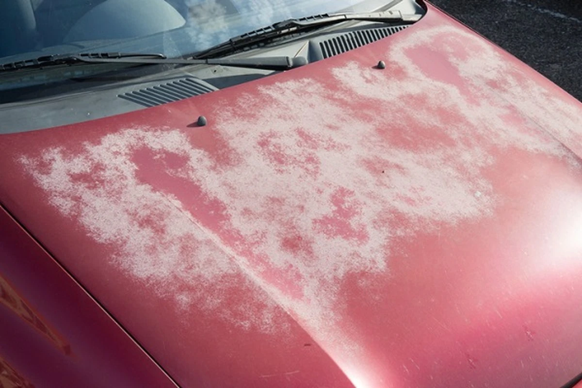 Adiós al jabón para platos: 8 cosas que daña, desde el cuero hasta la pintura para coches - image 1