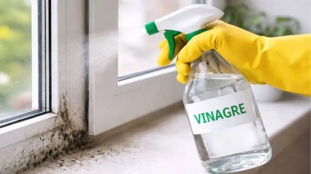 Adiós al moho en tus ventanas: el poder del vinagre y su ácido acético