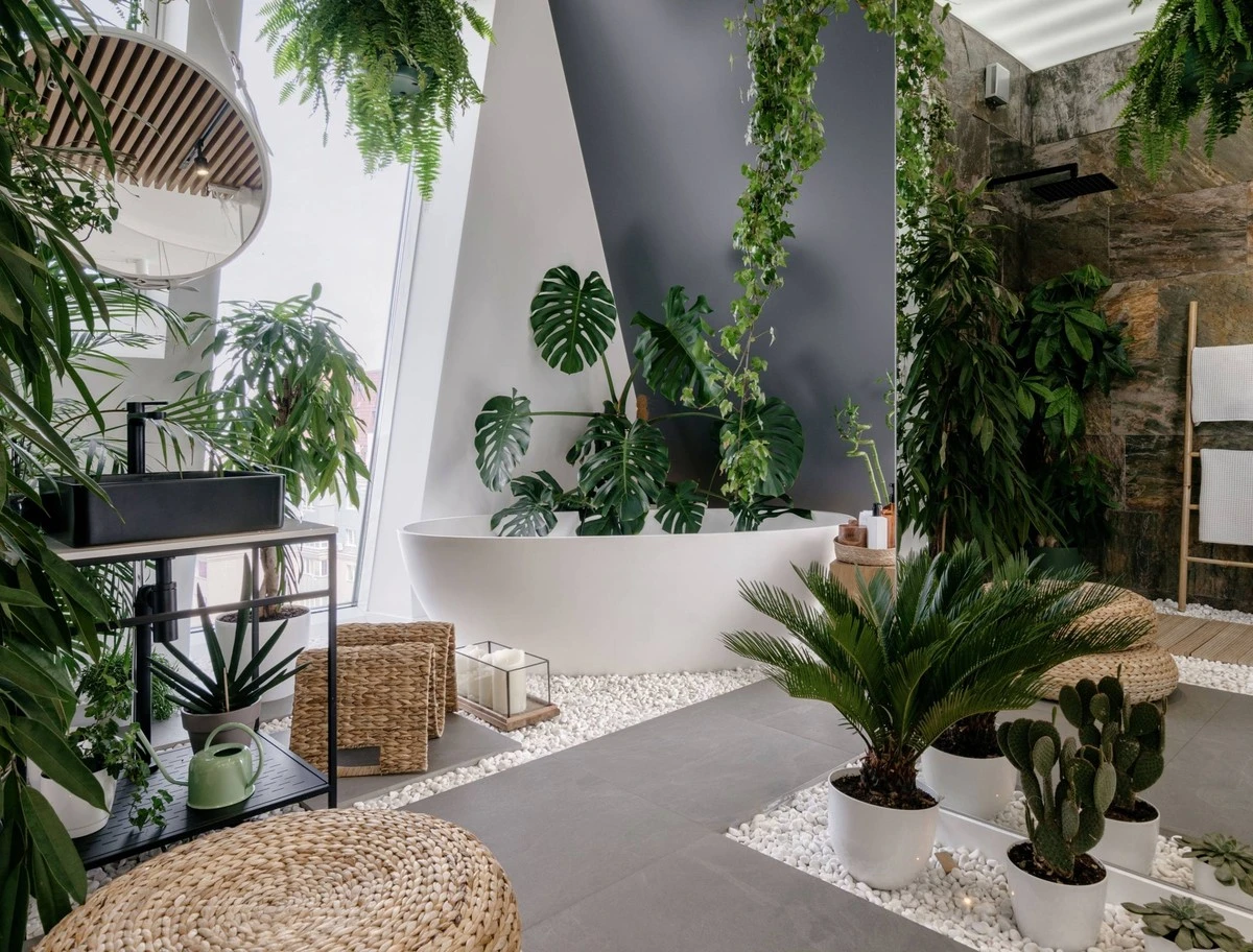 Adiós al moho en tu baño: 5 plantas de interior que absorben la humedad - image 1