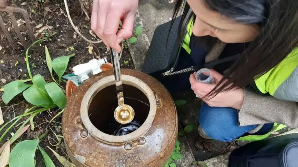 Adiós al Mosquito tigre: el método de Bourg-la-Reine para proteger tu casa