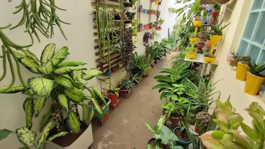 Adiós a los insectos: las 5 plantas para proteger tu jardín sin químicos