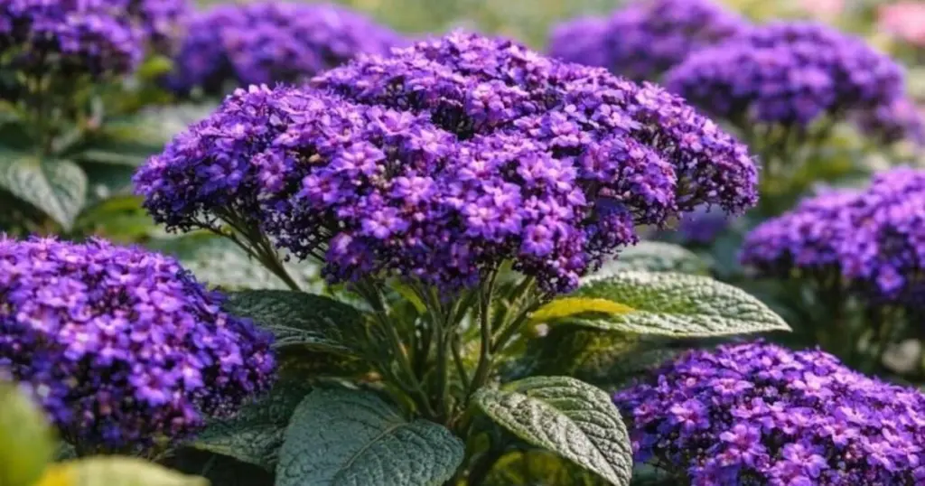 Adiós a los semilleros: el truco de siembra directa para una jardinería experta