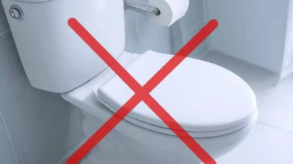 Adiós al papel: por qué este inodoro inteligente con bidet ahorra 140 litros