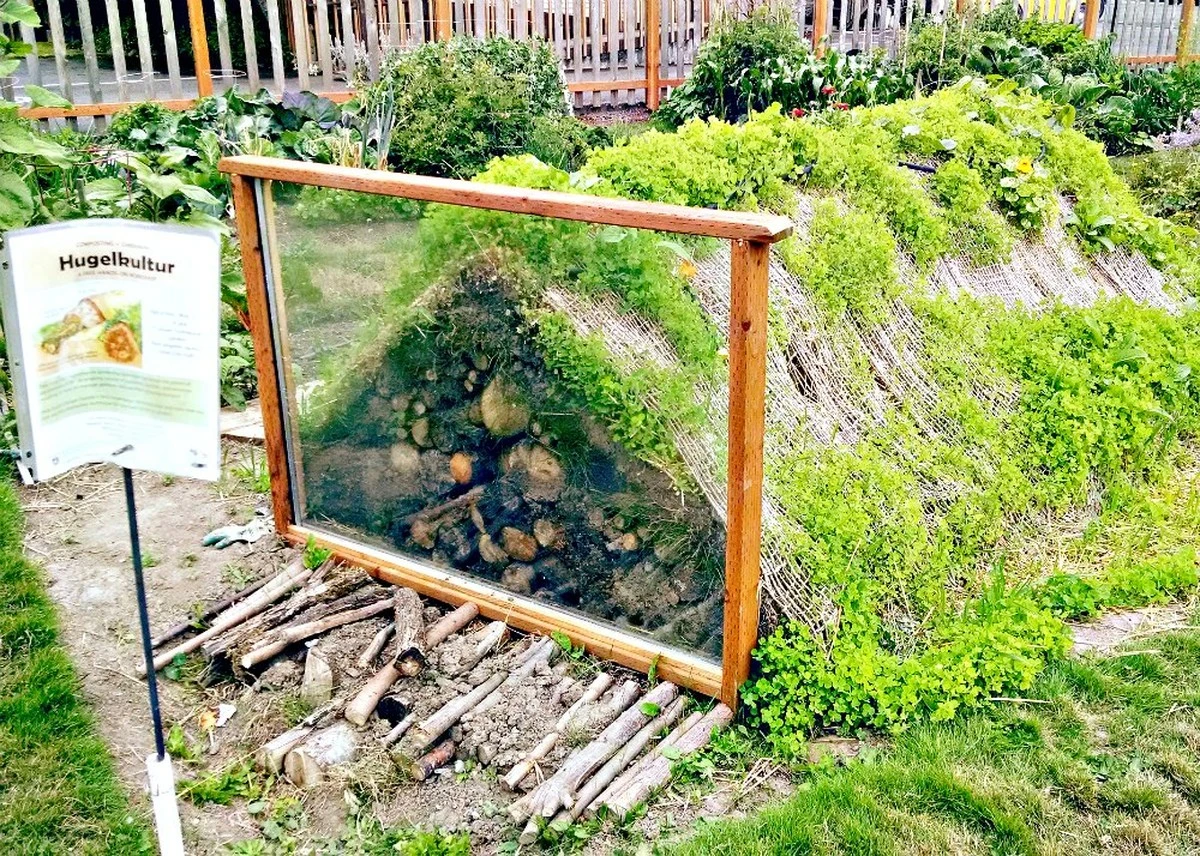 Adiós al riego diario: el método de Alemania Hügelkultur para tu jardín - image 1