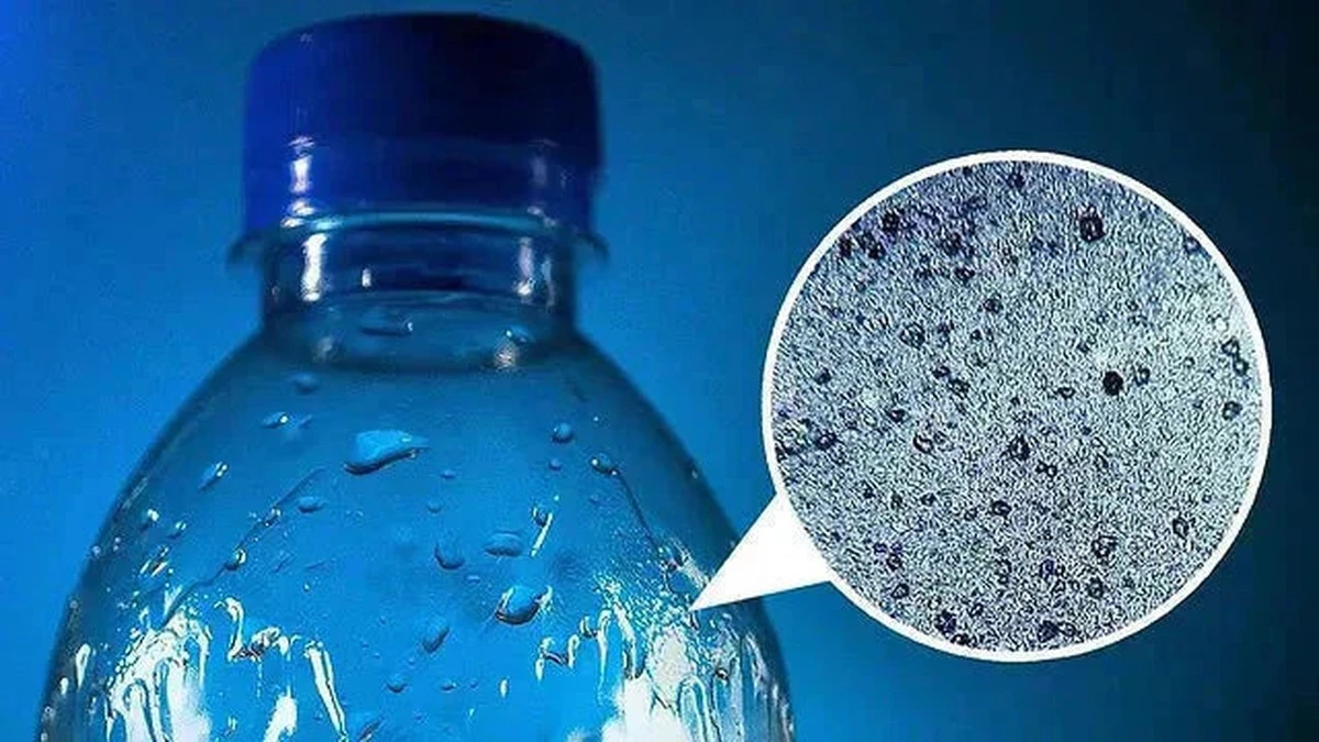 Agua con microplásticos: el invento de Carla di Luca (CONICET) para limpiarla - image 1