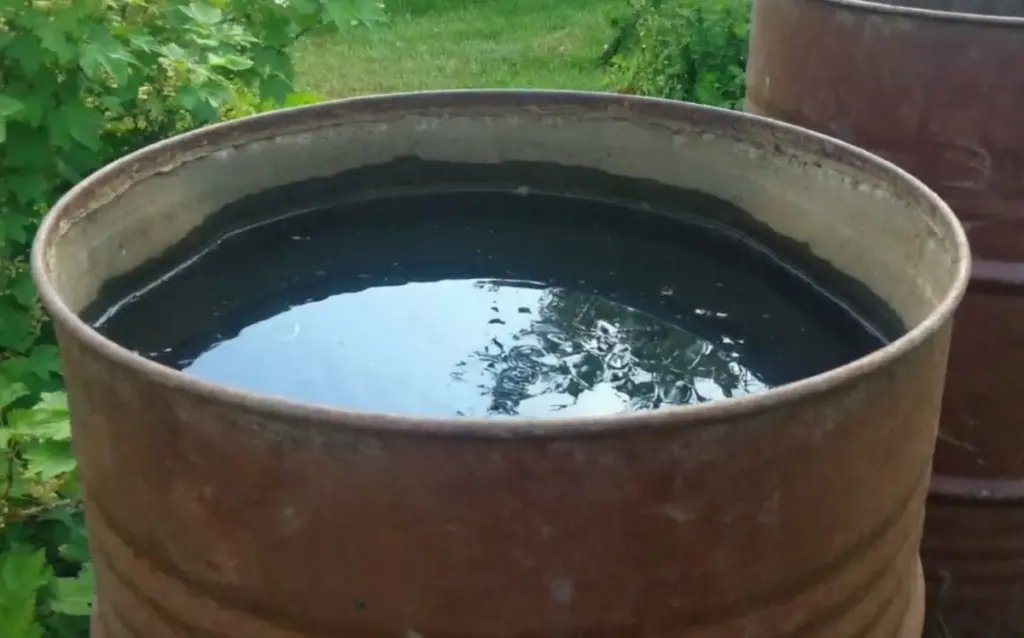 Agua siempre cristalina: el truco del cobre para eliminar las Algas de tus bidones