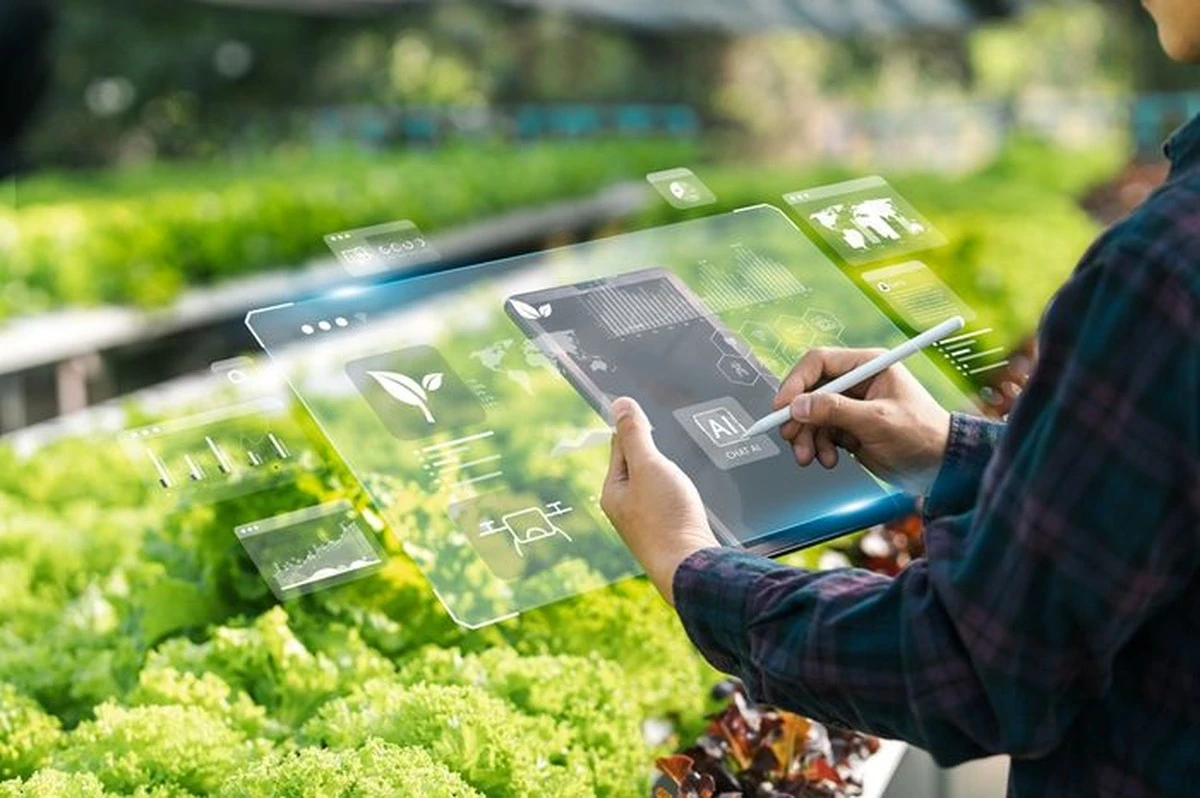 Ahorra el 50% en tu jardín: el método de Guillaume Charmasson y LJPS para 2026 - image 1