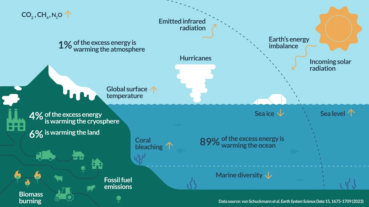 Alerta oceánico: 0.1°C más caliente por década significa 7.2% menos vida marina - image 1