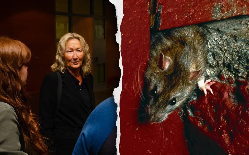 Anne-Li Sundvall y Asociación de Inquilinos: el método para vencer al casero