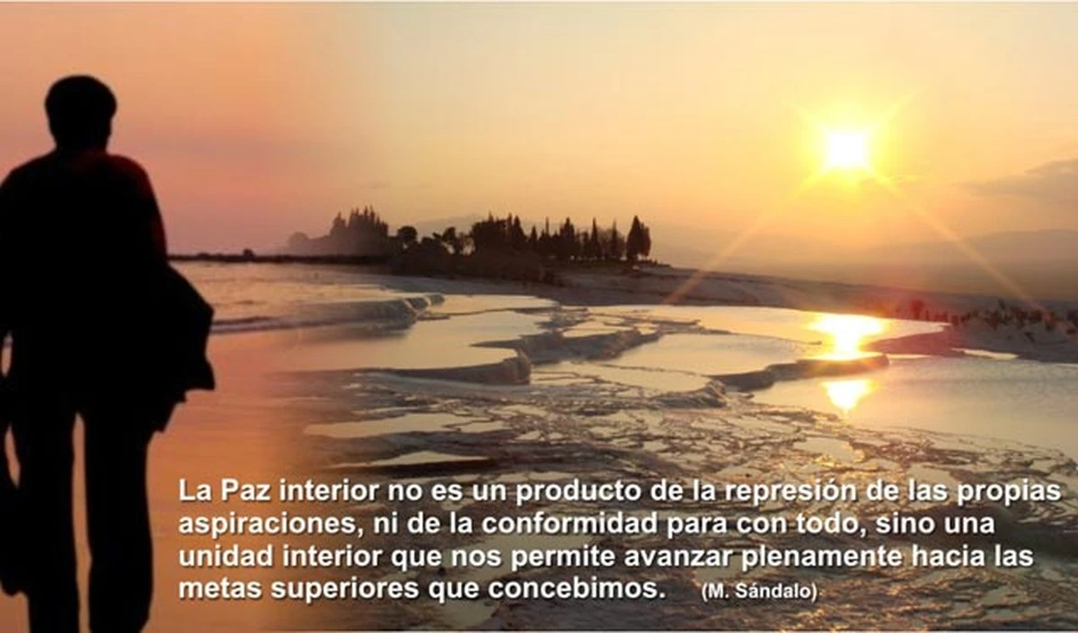 Arthur Schopenhauer: Por que a sua mente é mais valiosa que o seu bolso - image 1