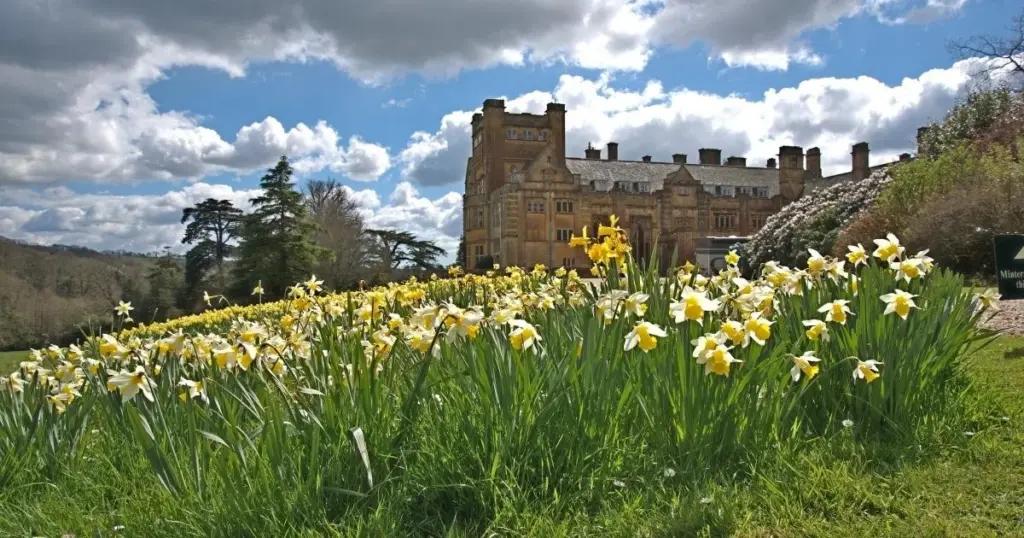 Athelhampton House & Gardens y Minterne: 2 rutas para ver narcisos milenarios