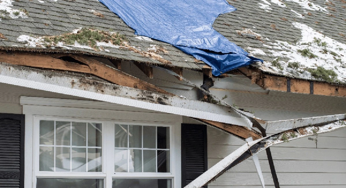 Ayuda bloqueada: los 10.000$ del Programa My Safe Florida Home y Shannon Behnken - image 1